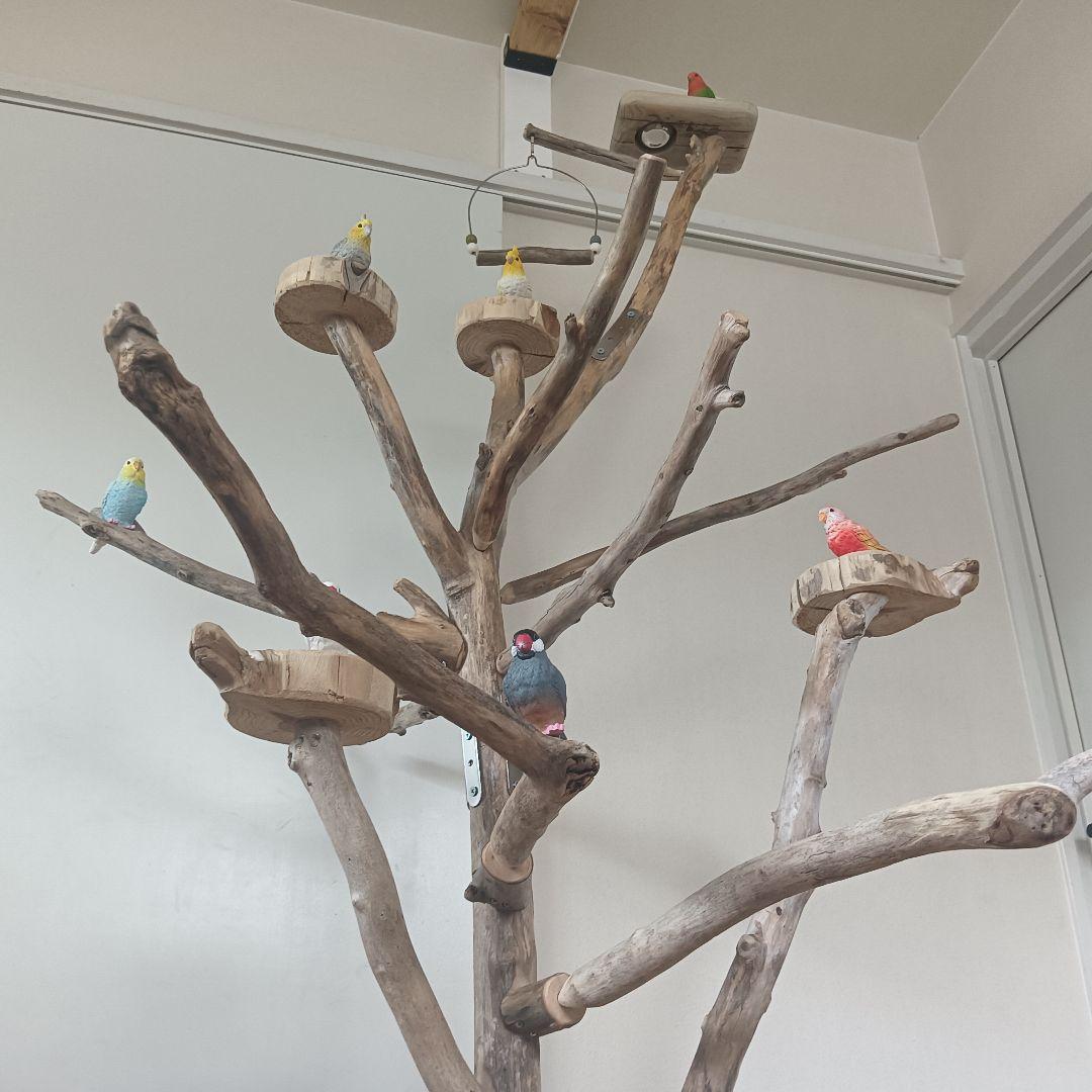 バードアスレチックジム大型 ② 天然木 自然木 流木 インコ おもちゃ