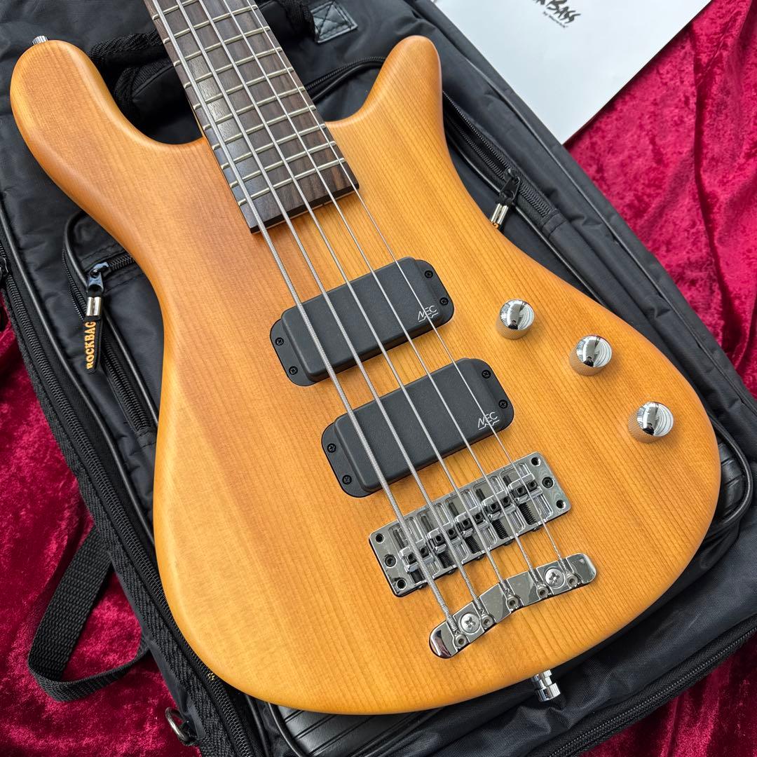 美品 メンテ済 Warwick Streamer Standard 5st