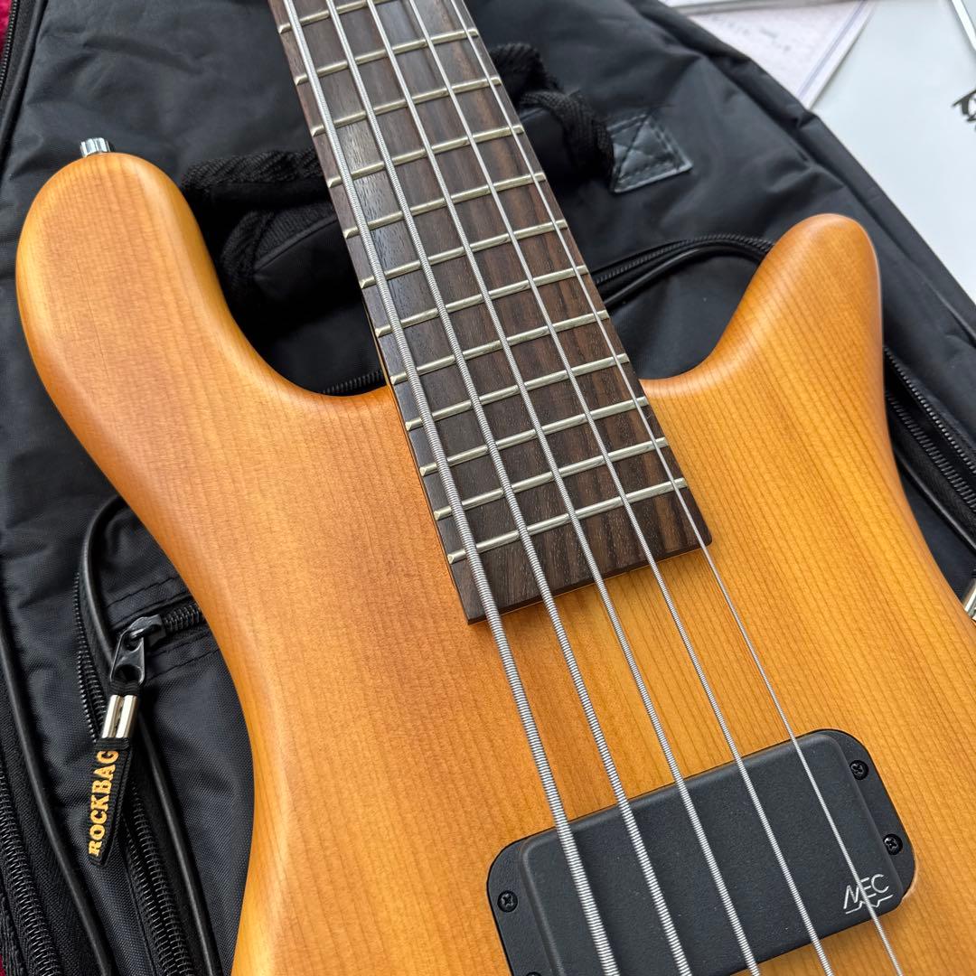 美品 メンテ済 Warwick Streamer Standard 5st