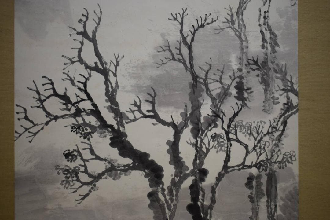 真作/松山/深渓群鳥図/桐共箱付/布袋屋掛軸HI-143