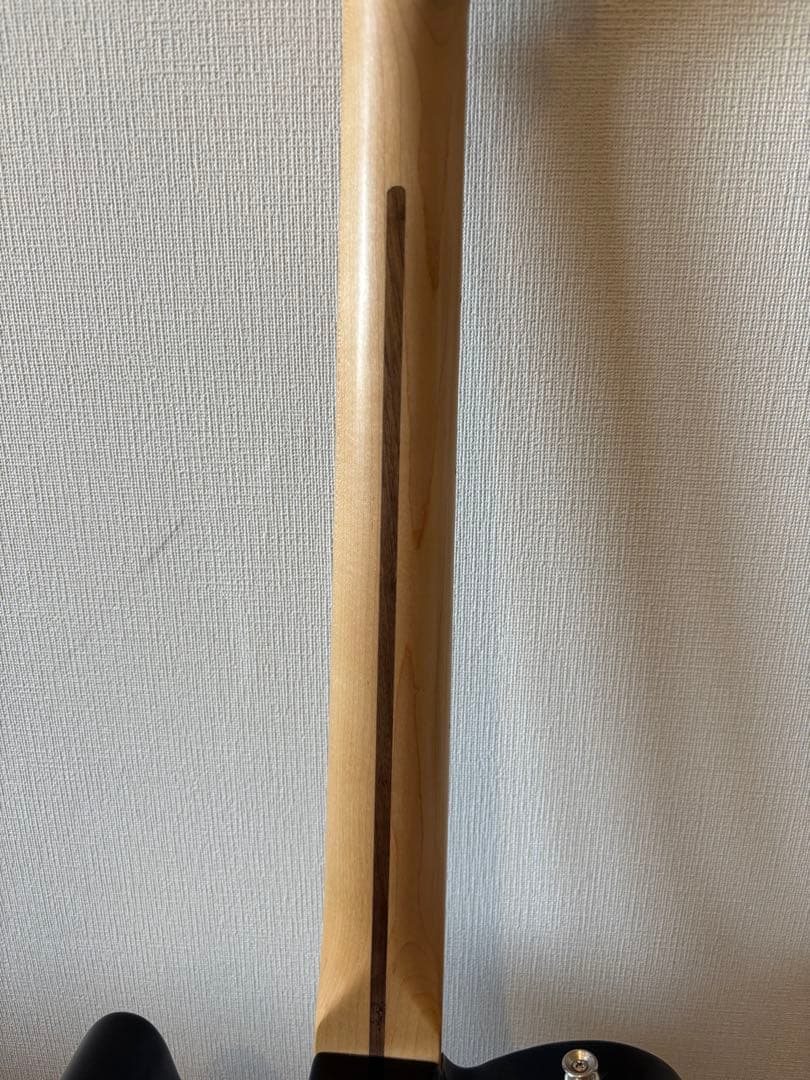 ねこ Fender Player Telecaster テレキャスター