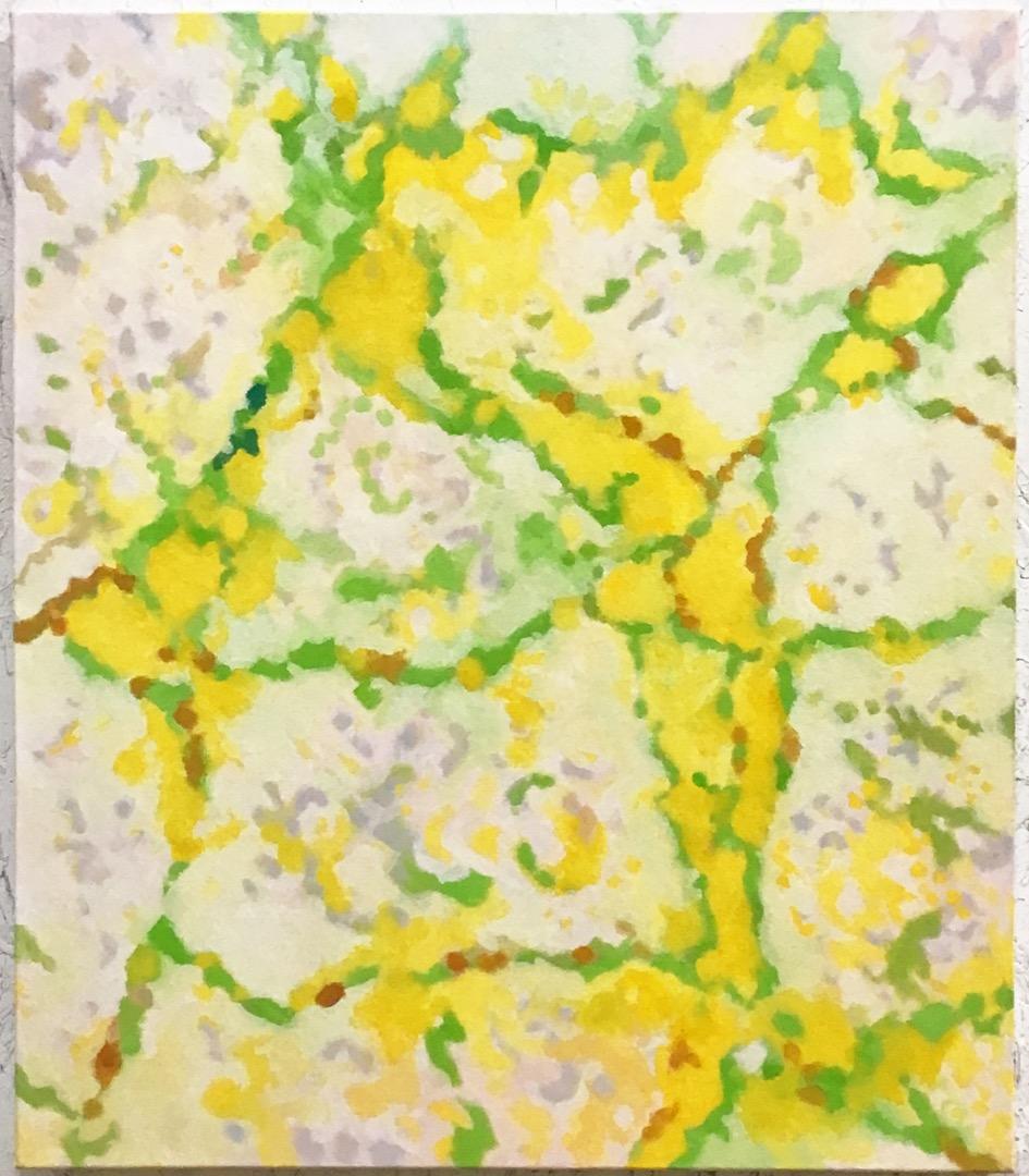 絵画 868 油絵/抽象画風/ひび割れ/黄色と緑/F10号