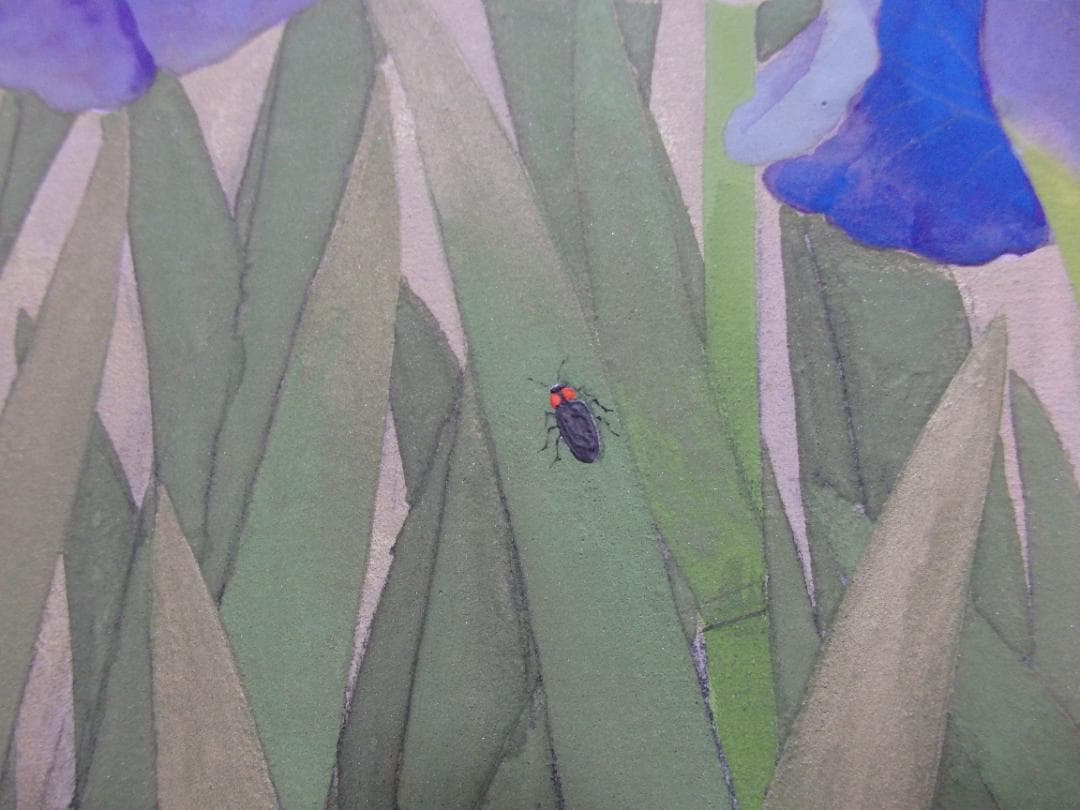 長井亮之『菖蒲』額装12号大作 金泥仕様 共シール付き 師：小林古径