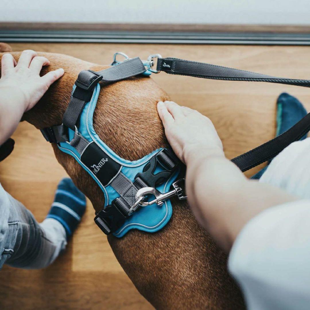 HUNTER ハーネス 小型犬 DIVO XS