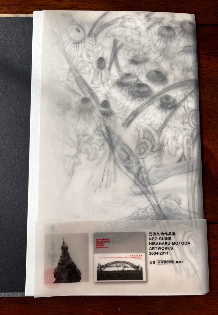 希少　松井冬子 「世界中の子とともだちになれる」プレミアムエディション画集