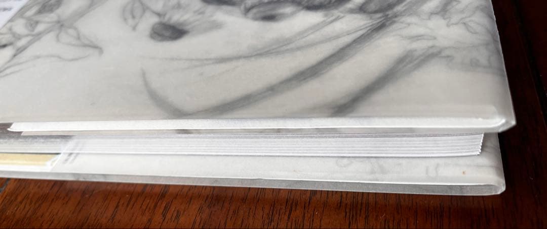 希少　松井冬子 「世界中の子とともだちになれる」プレミアムエディション画集