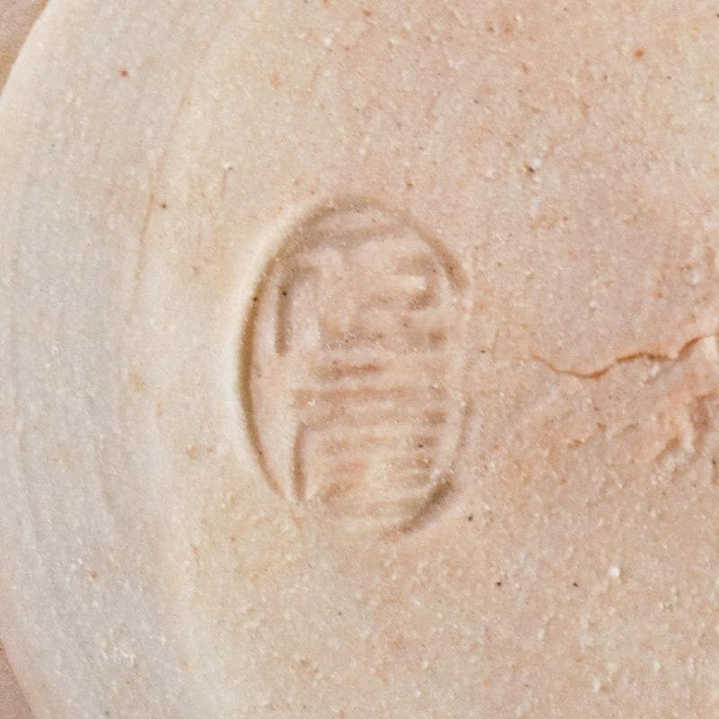 九谷焼　柳雨軒　三代八十吉　徳田正彦作　ぐい呑　共箱　V　R5039