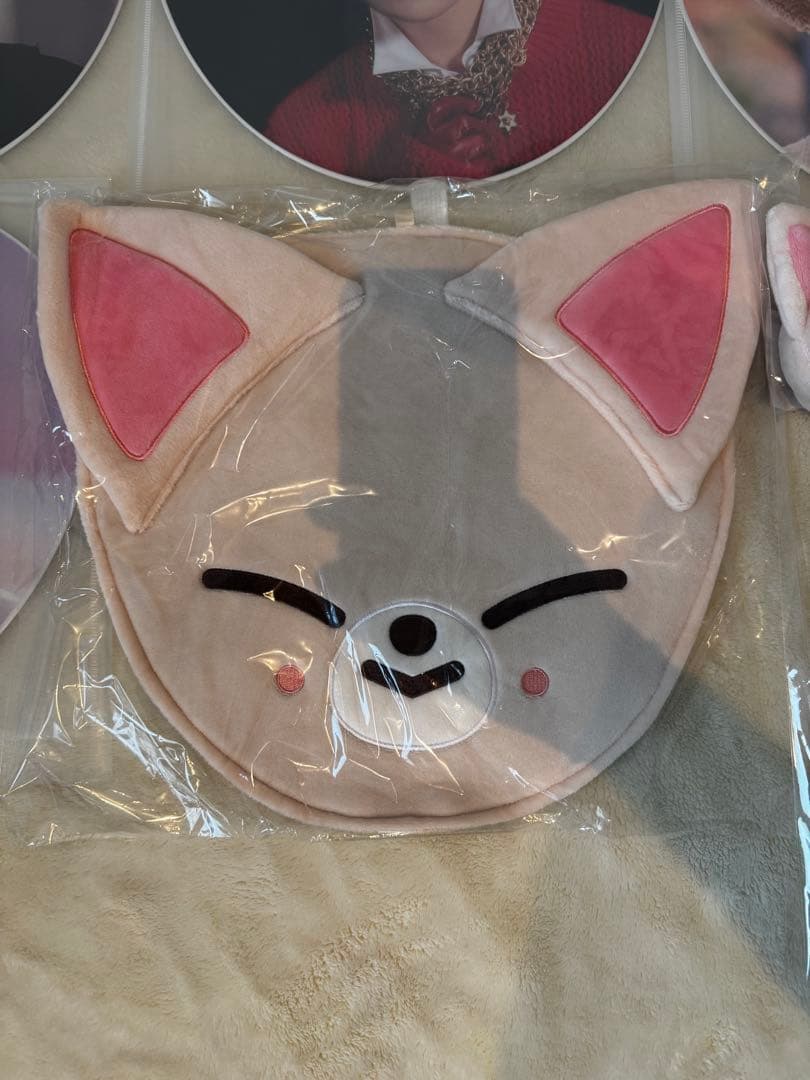 stray kids スキズ 5-STAR I.N アイエン　うちわ　ネックレス