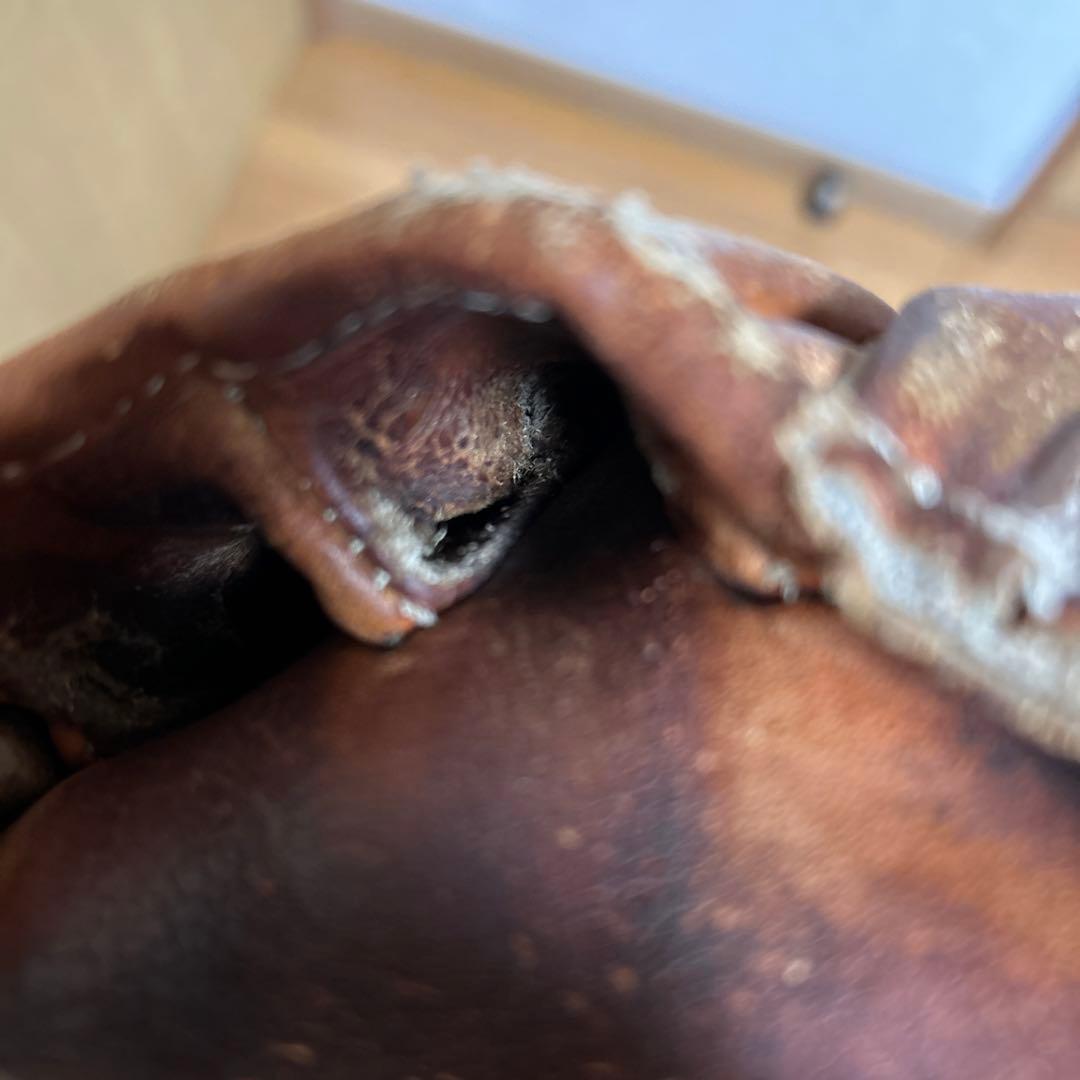 久保田スラッガー　硬式内野手用グラブ