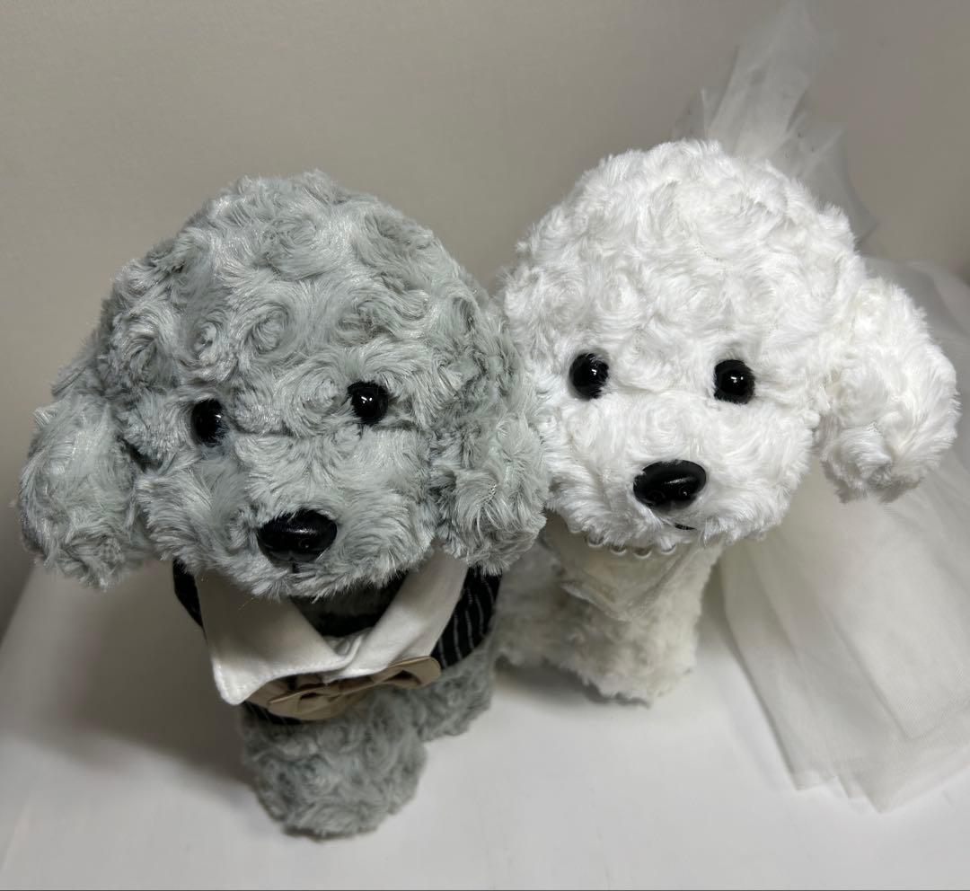 トイプードルぬいぐるみ 2体セット ペア タキシードとウェディングドレス