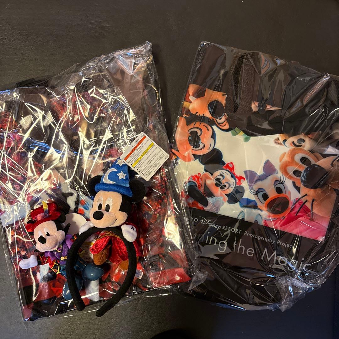 ディズニー イマジニングザマジック 蝦川実花＆ミッキーセット