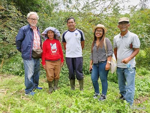 夏の山椒祭り：熱帯スマトラ島トバ湖より、アンダリマン山椒粉末、大容量1000g