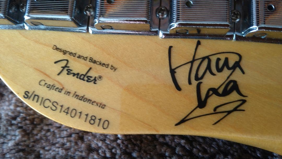 SQUIER　テレキャスター SCANDAL HARUNA スカル柄