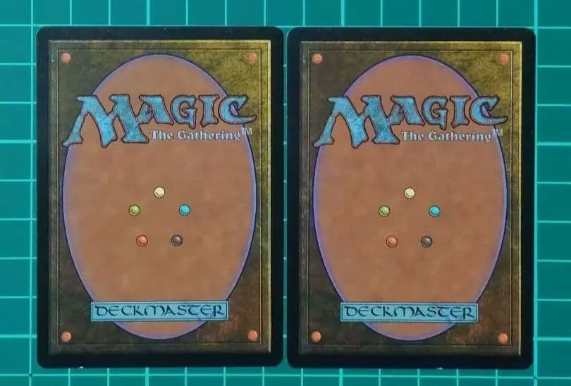 リシャーダの港/Rishadan Por t [MMQ] 土地R（日） ×2枚