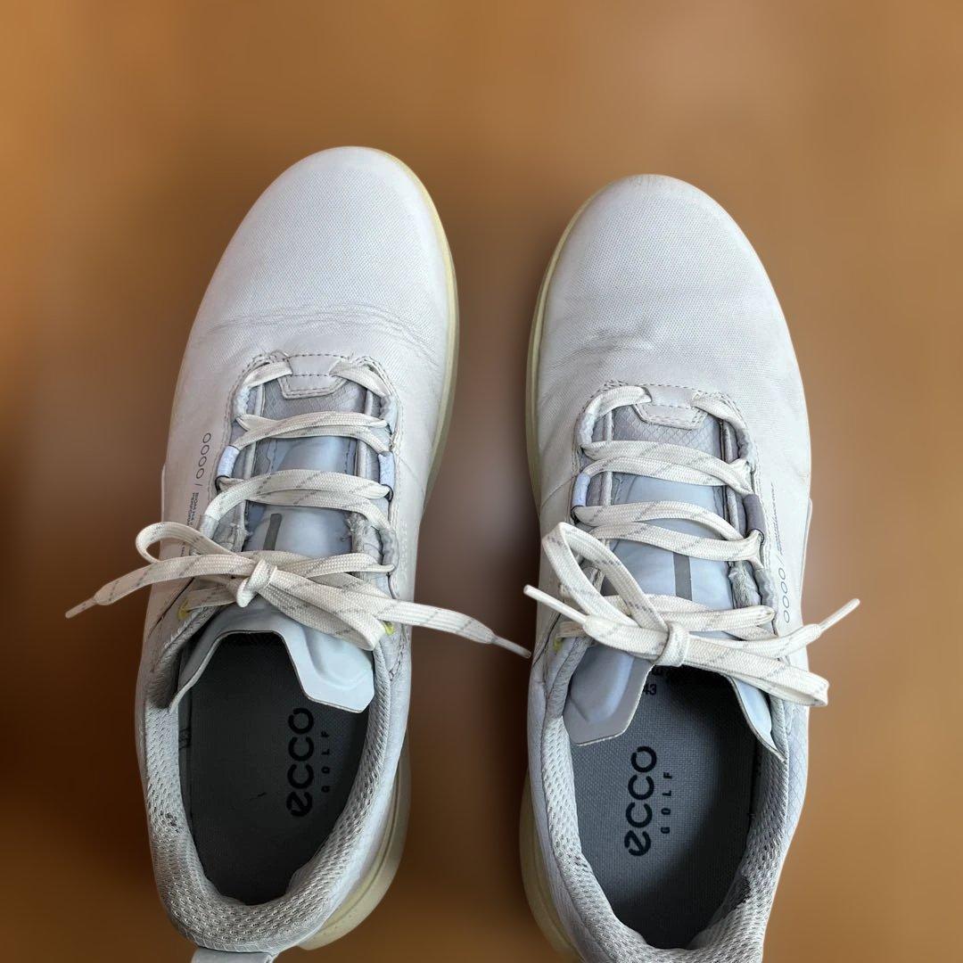 ecco(エコー)メンズゴルフシューズ紐BIOM H4 43箱付き