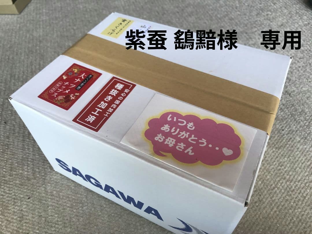 紫蚕 鷂黯（シテン ヨウアン）