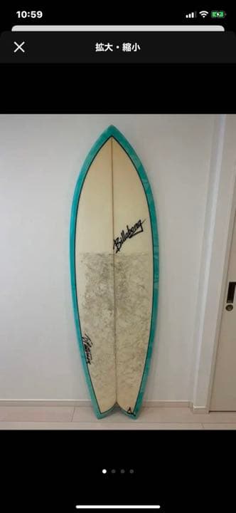 テイムパターソンシエープフィッシュ