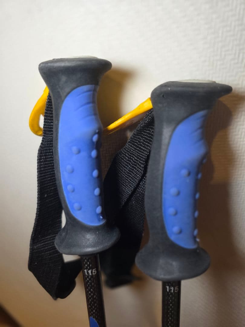 SWIX Cobra CT2 カーボン スキーポール 115cm 競技・上級