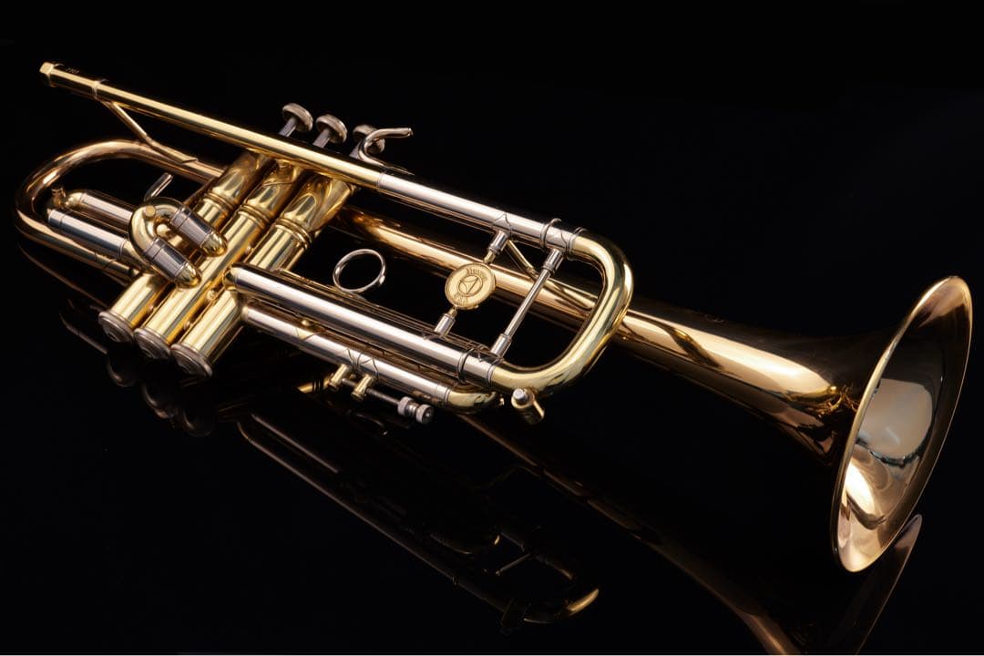 【選定品 メンテナンス済】 HOLTON T101 GB トランペット　ホルトン