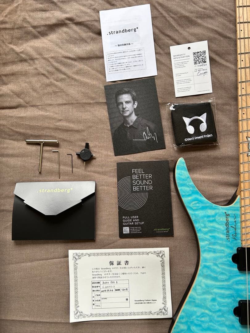 ギター Strandberg Borden RAS6