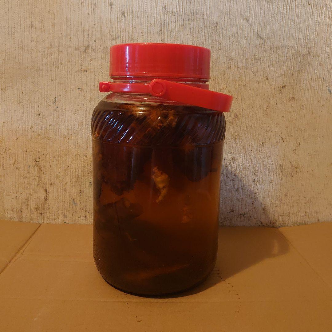 奈良県吉野山系吉野で採取りした天然物ツルニンジン酒5Ｌ入り ツルニンジン酒