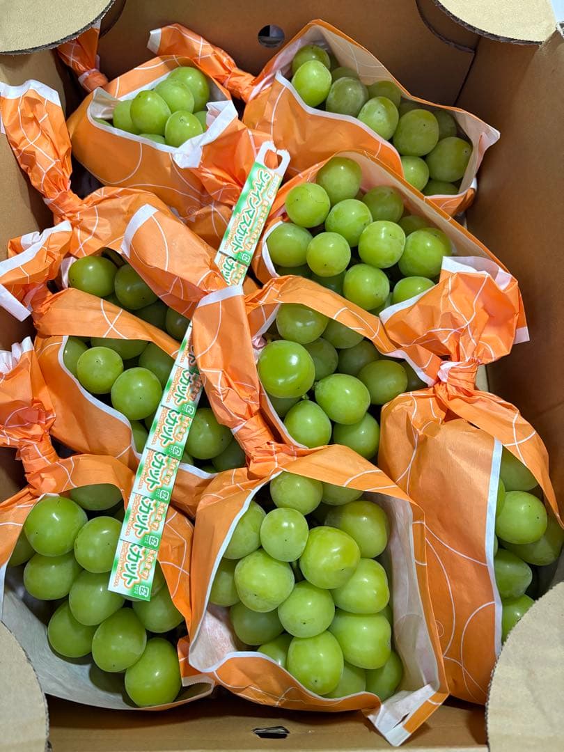 長野県産　シャインマスカット　秀品！ 9房セット