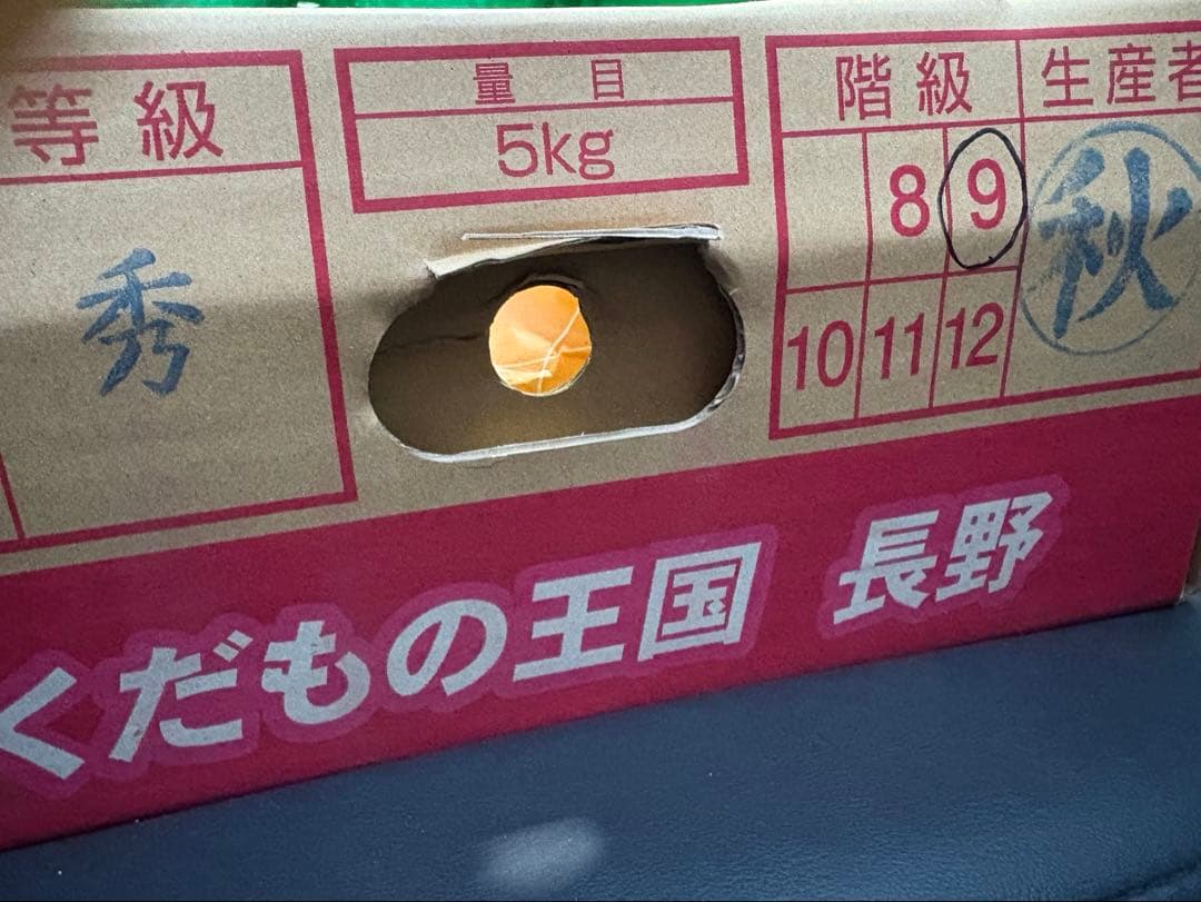 長野県産　シャインマスカット　秀品！ 9房セット