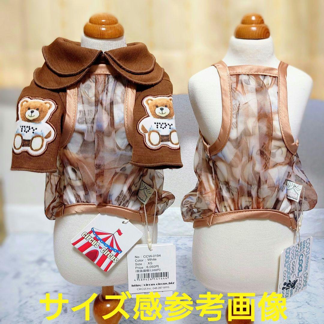 A　XS4点セット+クッション　サーカスサーカスCIRCUSCIRCUS