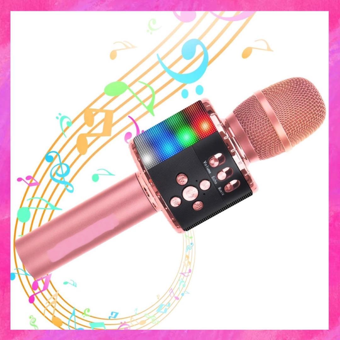 ❤自宅でカラオケ練習OK❣プロが練習用にも使用する本格派♪❤カラオケマイク