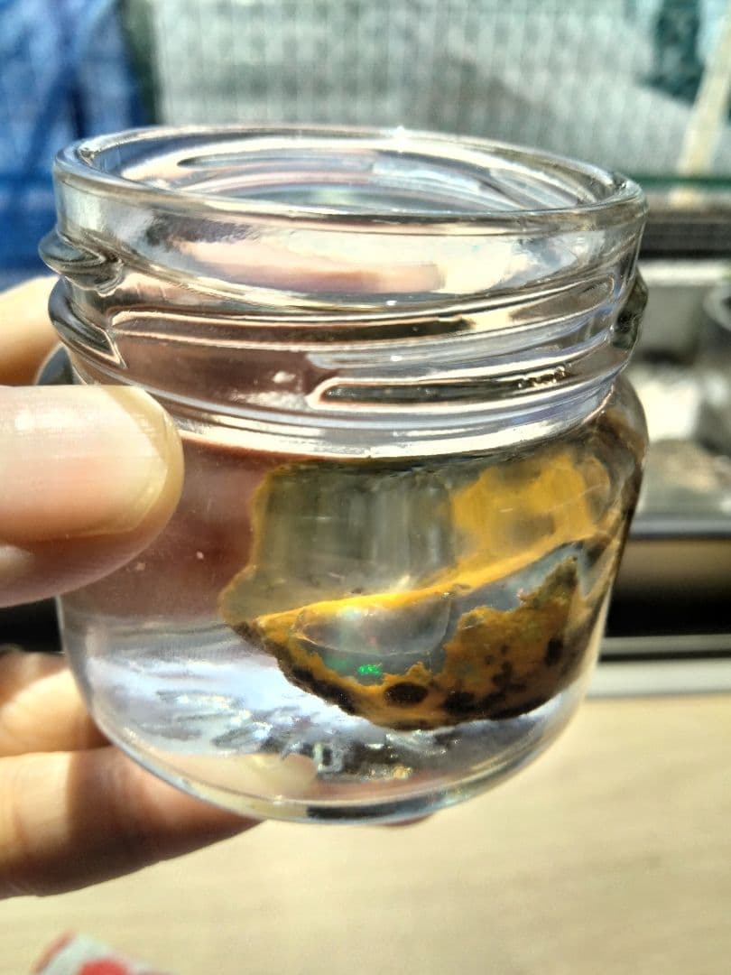 国産オパール　原石　国産　鉱物　国産鉱物　オパール　原石　美しいオパール123