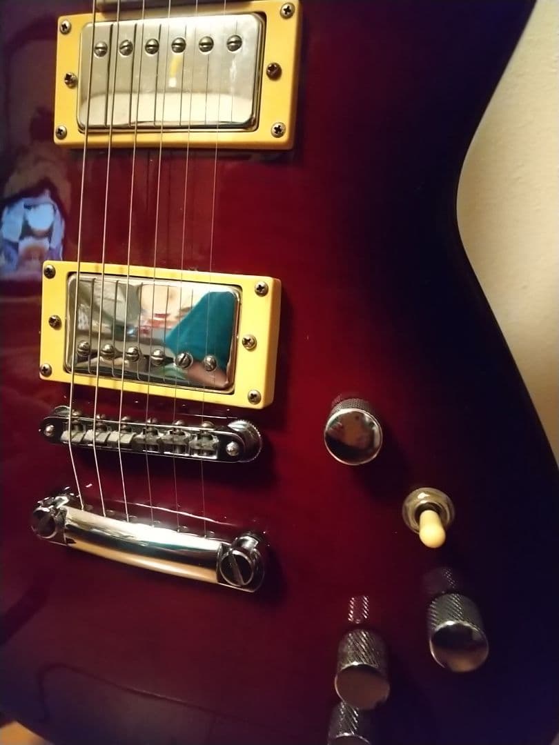 飛ぶ猫さま専用/ APG-55S 改造品/サステナーなし120サイズ