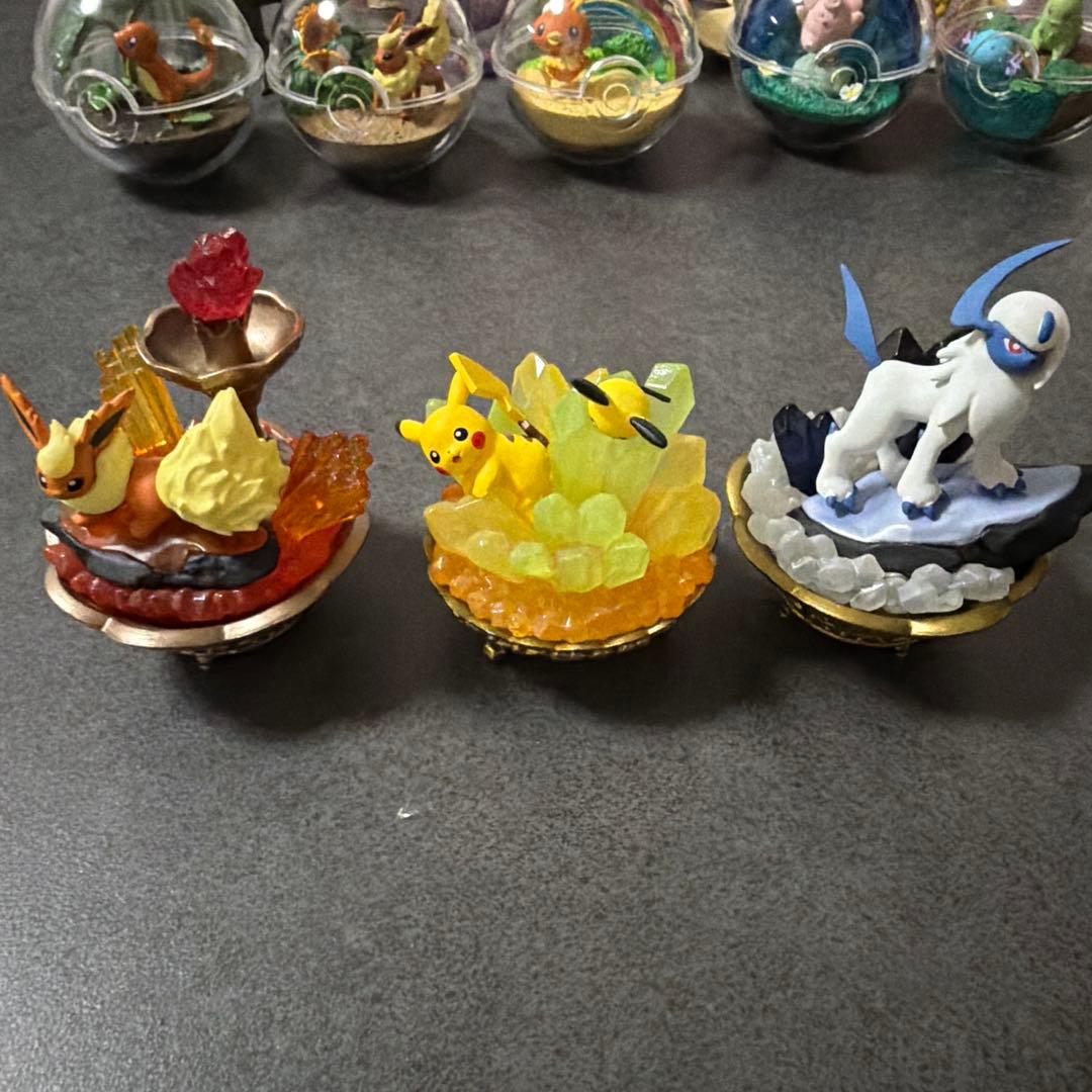 ポケモン テラリウムコレクション いろいろ