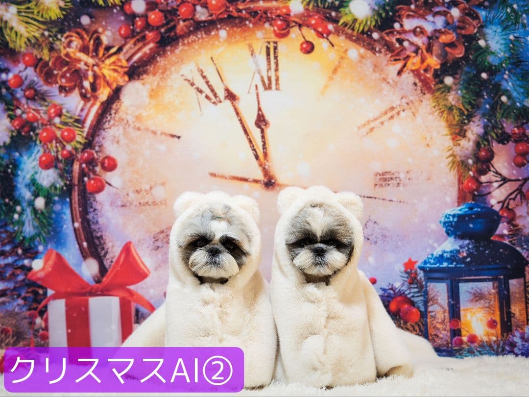 紅葉　背景布秋XD①　ペット撮影用　80×120cm　トリミングチョーカー販売中