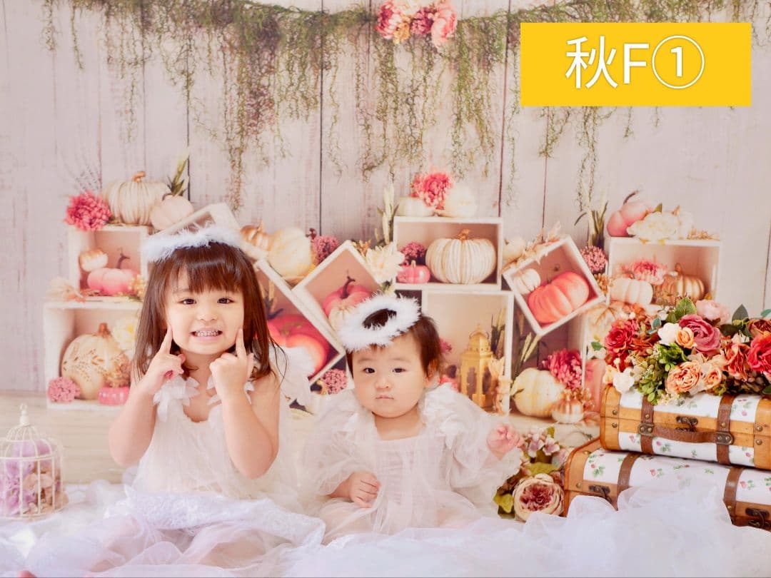 紅葉　背景布秋XD①　ペット撮影用　80×120cm　トリミングチョーカー販売中