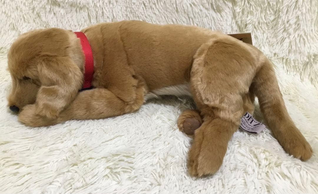 ★希少 新品 DITZ ディッツ ハルモニア ぬいぐるみ ゴールデンレトリバー