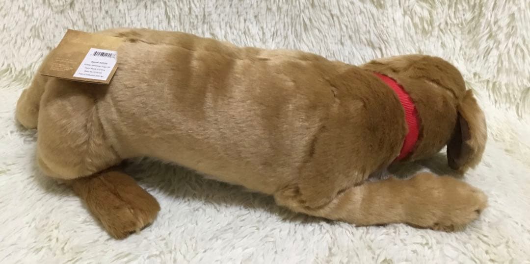 ★希少 新品 DITZ ディッツ ハルモニア ぬいぐるみ ゴールデンレトリバー