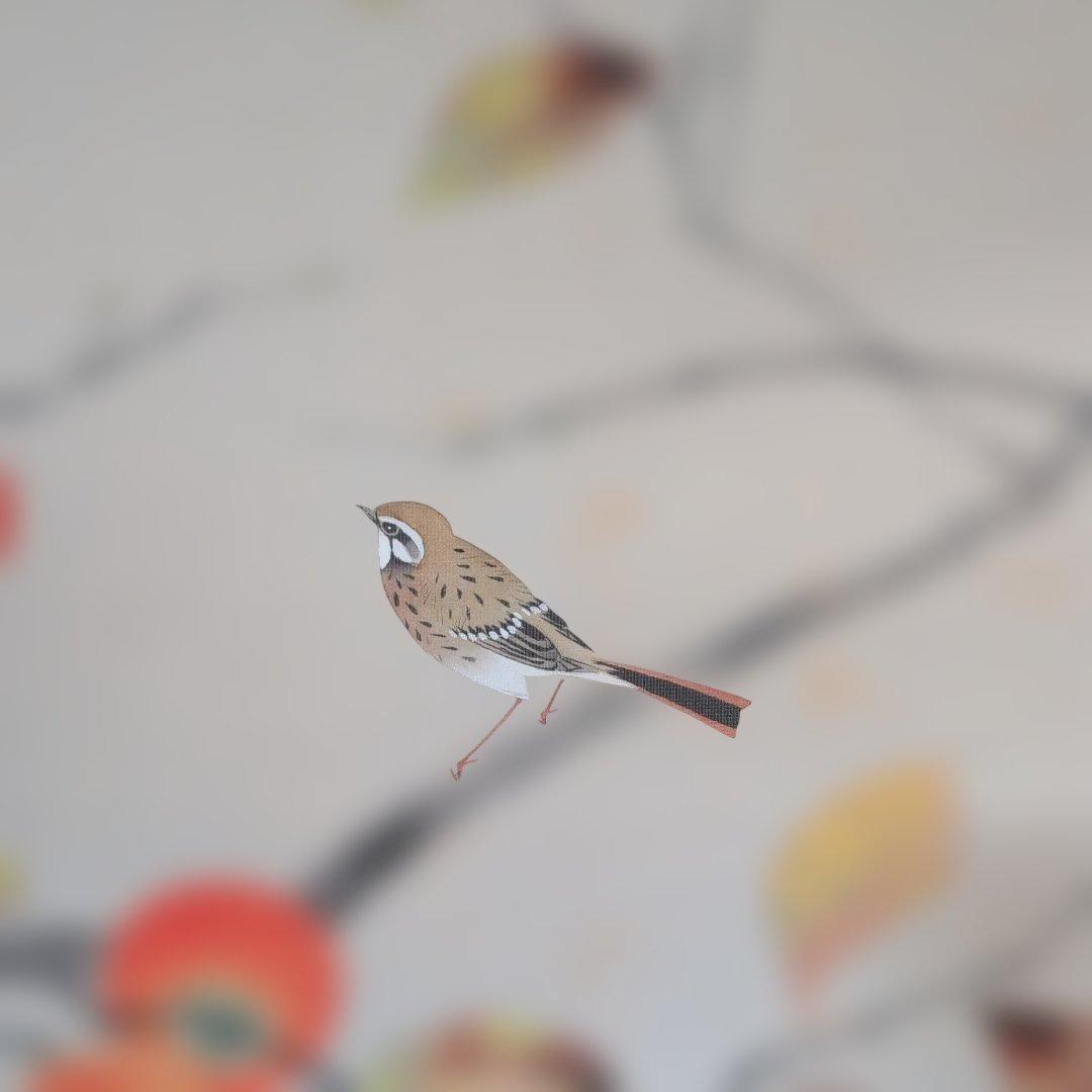 掛軸 『柿』辻青花作　果物と鳥の絵　大型