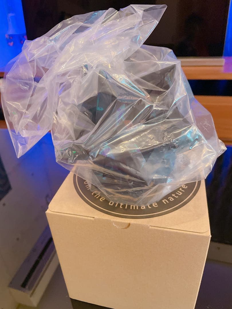 COLONISTA CONPE10 ver. -BLACK- 【 新品 】