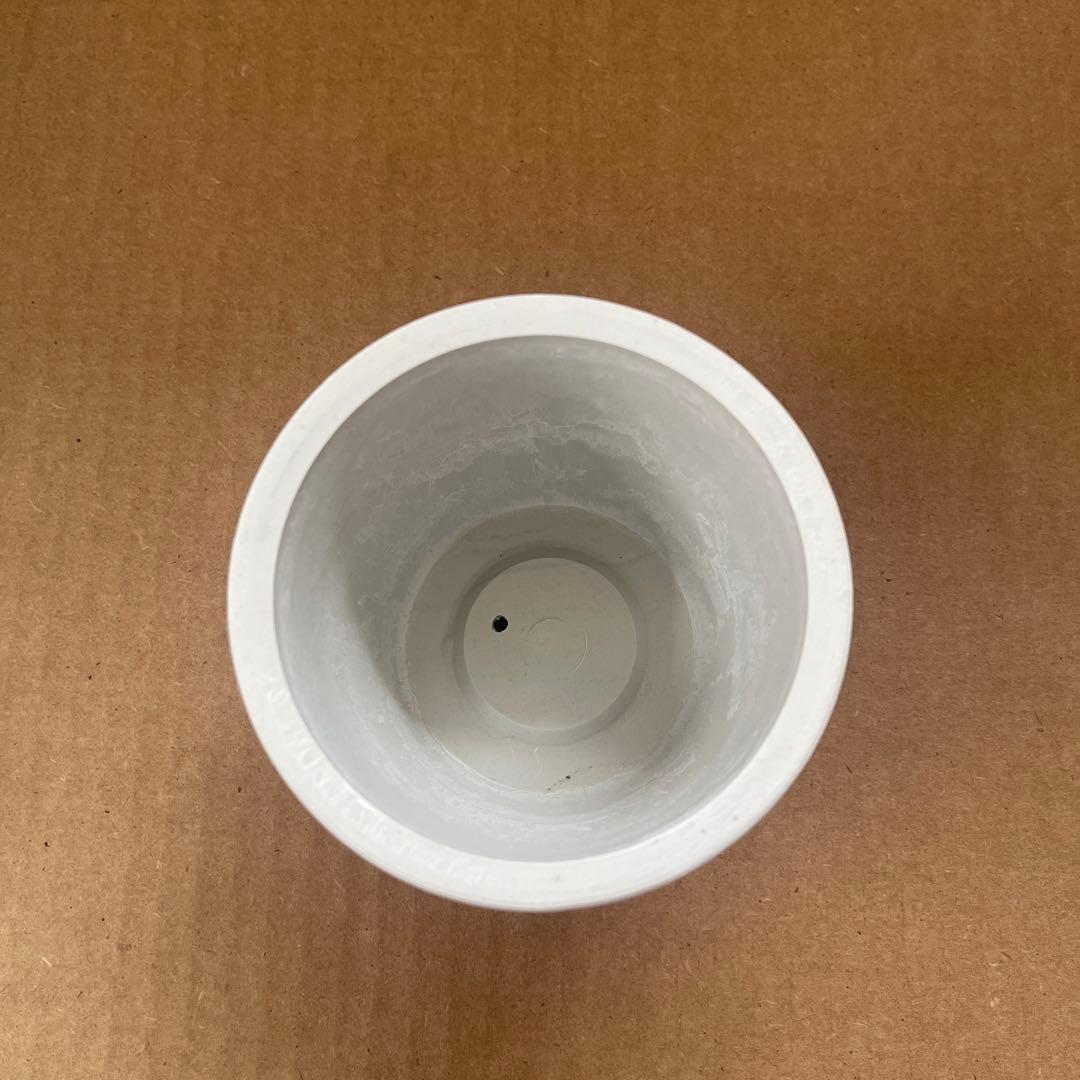 小2個セット BOTANIZE lotta ayano nakano 鉢