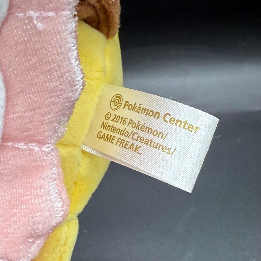 極美品 メガディアンシーのポンチョを着たピカチュウ
