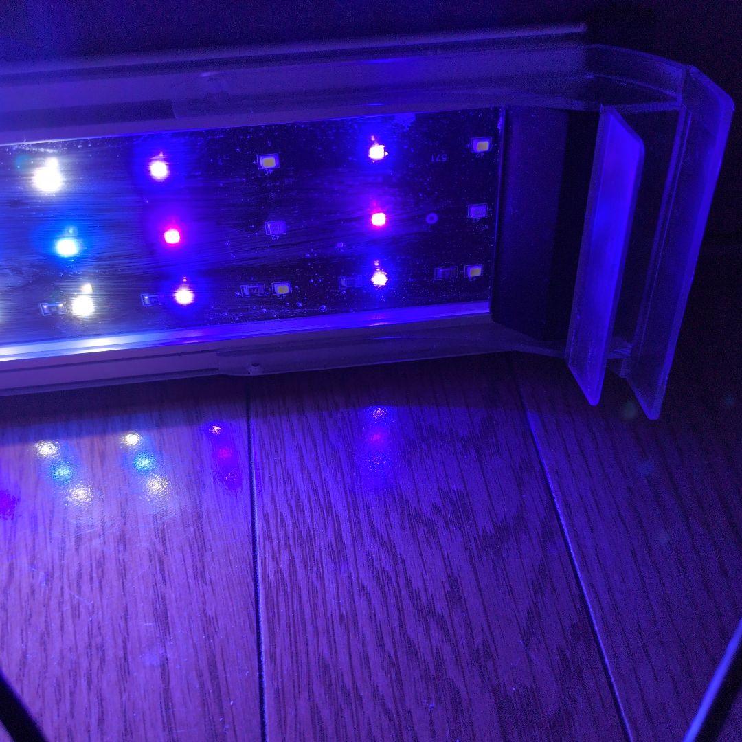 水槽用ライト
