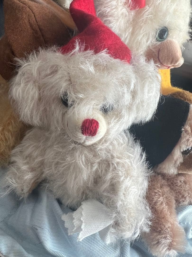 メリーソート⭐︎チーキーシリアルナンバー10