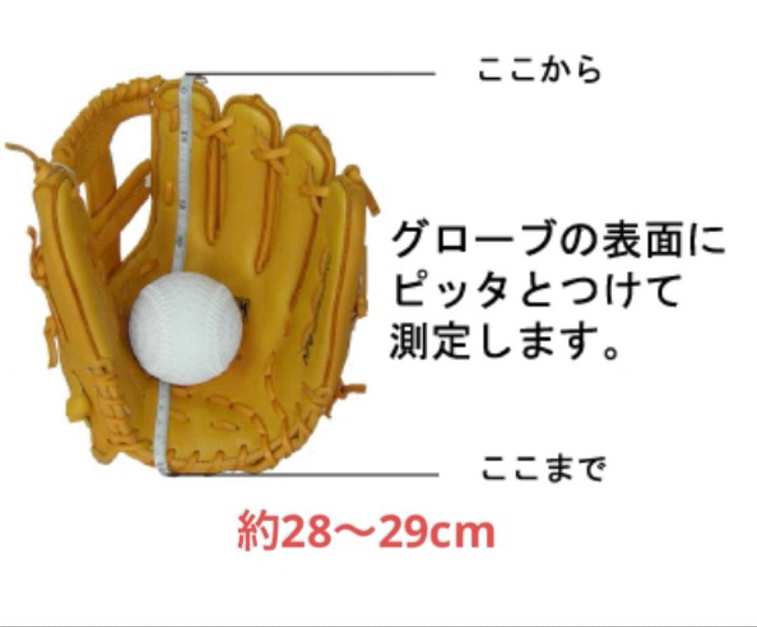 ZEEMS ジームス　SV-500C 三方親シリーズ　硬式 グローブ