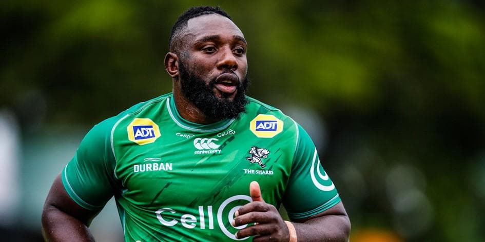 ラグビー ジャージ ユニ 選手仕様 南アフリカ シャークス XL 新品 レア