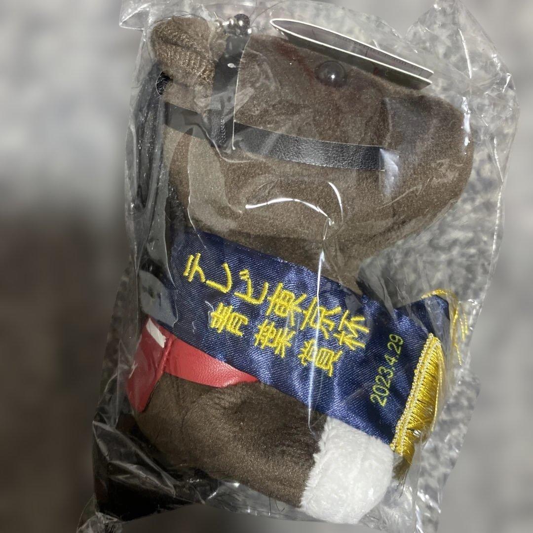 スキルヴィング テレビ東京杯 青葉賞 アイドルホースぬいぐるみ