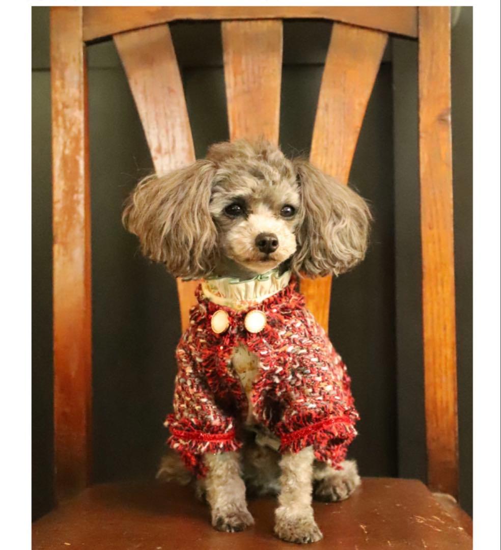 アトリエgg ブルジョア ケープコート