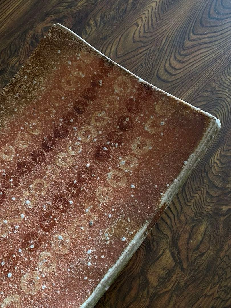 信楽焼 Shigaraki 特大皿 2枚組 井村侊生 P06