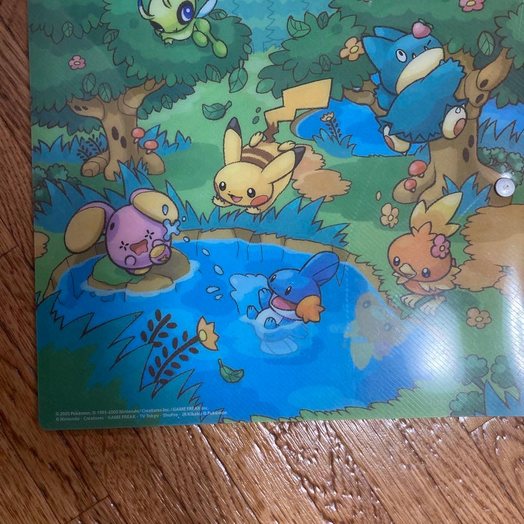 ポケモンカードゲーム　フォレストシート　ファイルのみ　ポケパーク　限定品
