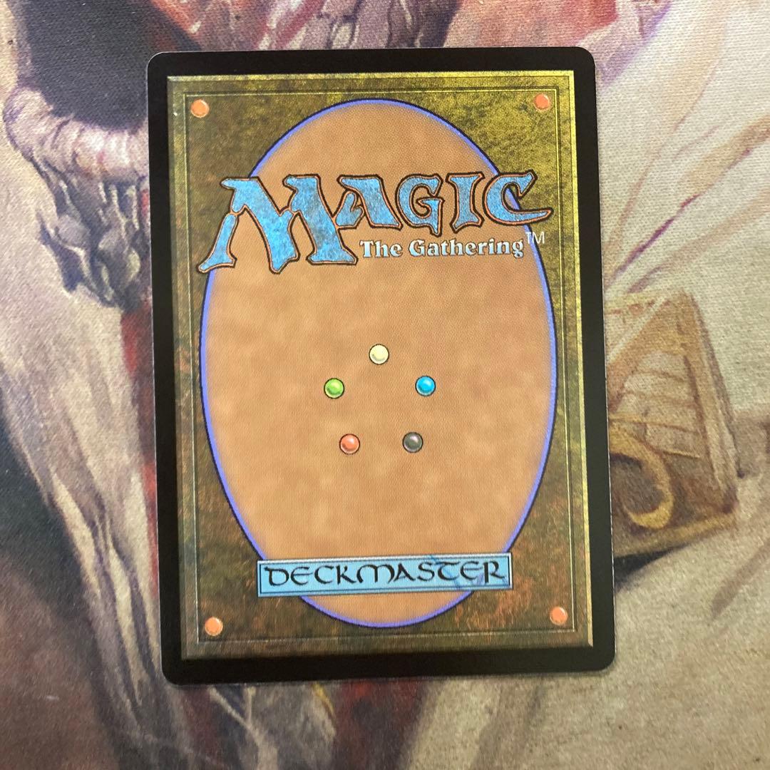 専用。MTG 草萌ゆる玄関 日ボーダレス3枚セット