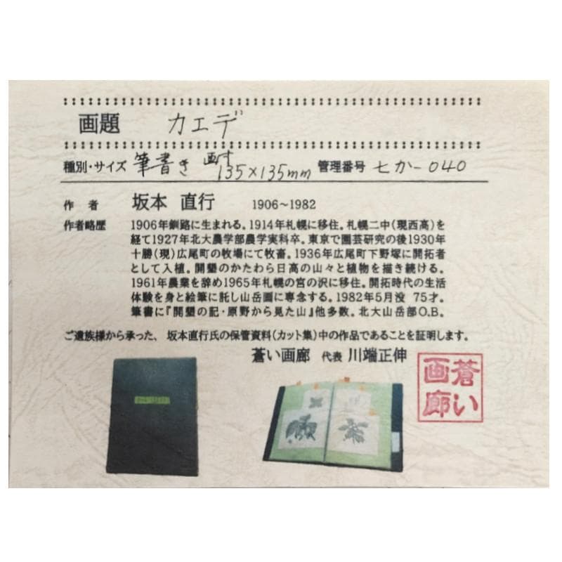 ☆坂本直行☆「カエデ」筆書き　八ツサイズ　未使用！